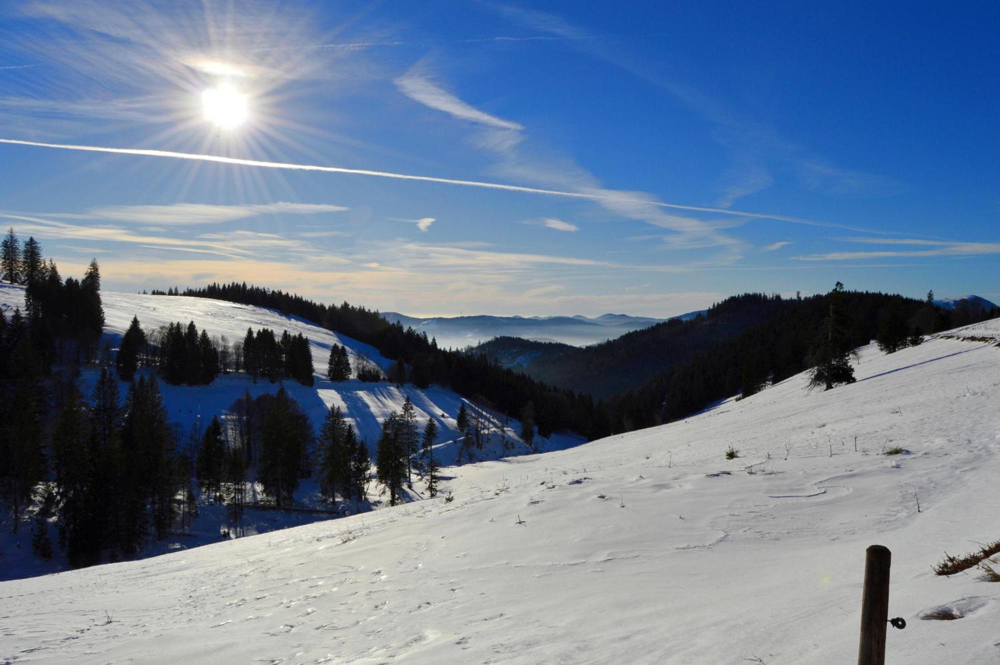 Haus Findling, 10 Personen, Schluchsee, Hochschwarzwaldkarte Extérieur photo