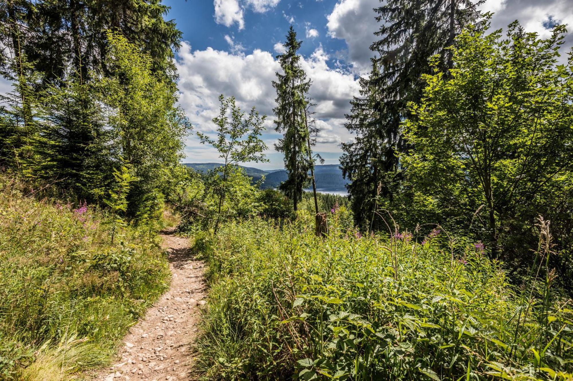 Haus Findling, 10 Personen, Schluchsee, Hochschwarzwaldkarte Extérieur photo