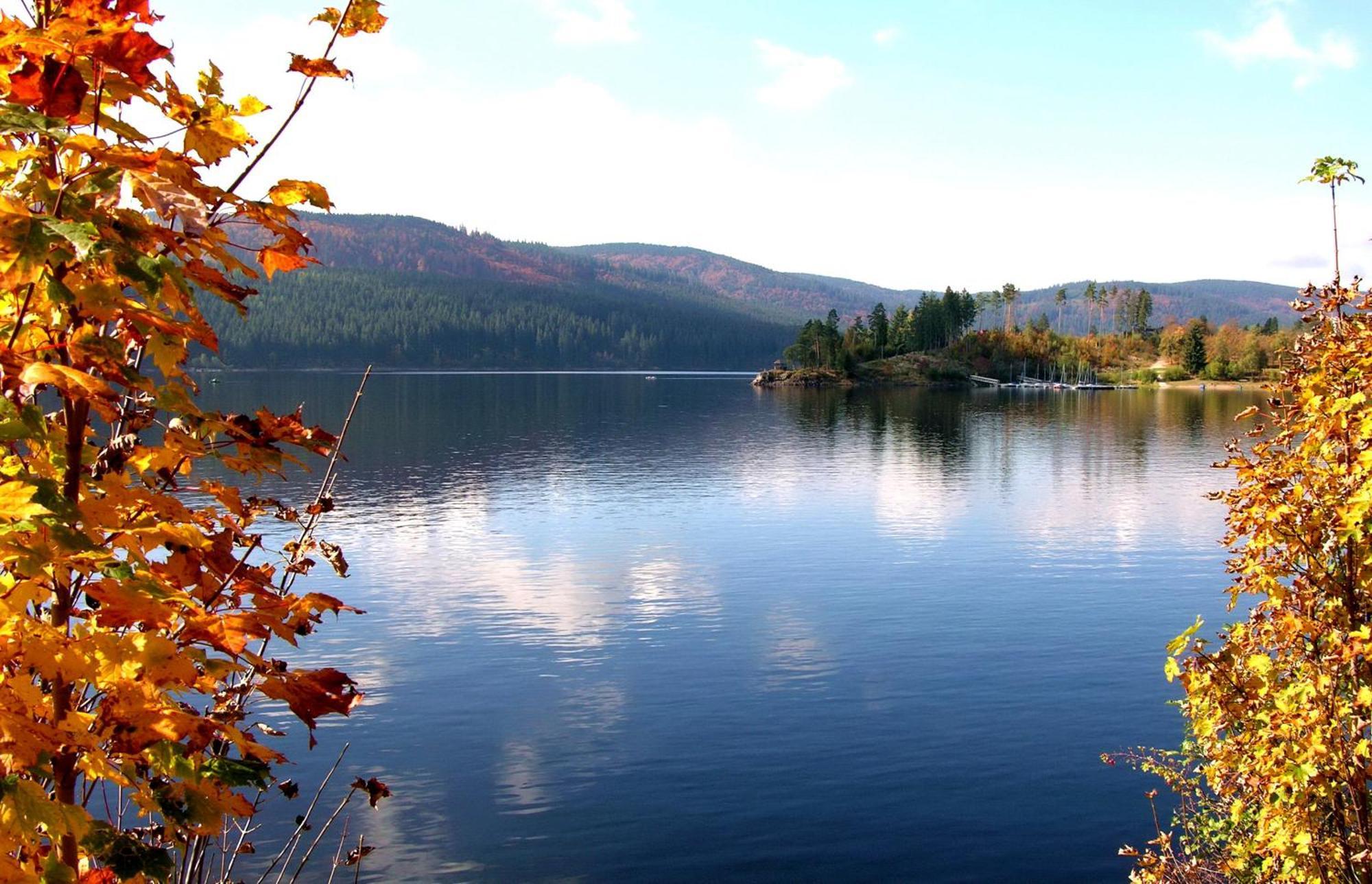 Haus Findling, 10 Personen, Schluchsee, Hochschwarzwaldkarte Extérieur photo
